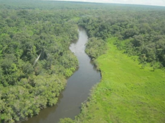 West Lunga River — riverine forest, fisherman / boat