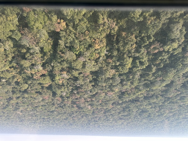 Unbroken miombo and dry evergreen forest canopy from above